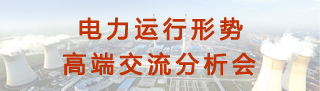 電力運行形勢高端交流分析會