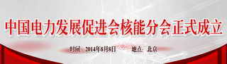 2014年電力運行形勢（年中）高端交流分析會