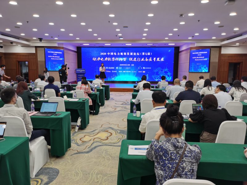 中電新聞網(wǎng)：2020中國電力規(guī)劃發(fā)展論壇召開