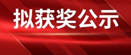 中國(guó)電力發(fā)展促進(jìn)會(huì)科學(xué)技術(shù)獎(jiǎng)2023年度擬授獎(jiǎng)成果公示